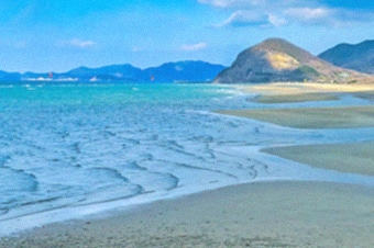 有明浜
